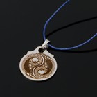 The amulet "Dragon of Yin and Yang", (copper/steel)