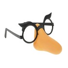 Funny glasses with big nose