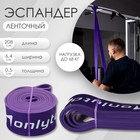 Эспандер ленточный, многофункциональный, 23-68 кг, 208 х 6,4 х 0,5 см, цвет фиолетовый Эспандер ленточный, многофункциональный, 23-68 кг, 208 х 6,4 х 0,5 см, цвет фиолетовый