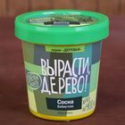 Набор для выращивания растений "Вырасти, Дерево! Сосна Веймутова" Набор для выращивания растений "Вырасти, Дерево! Сосна Веймутова"