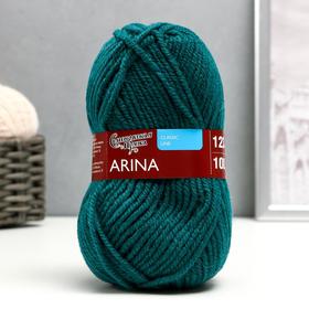 Пряжа Arina (АринаПШ) 50% шерсть, 50% акрил 123м/100гр (70039 изумр_v2) 2438109