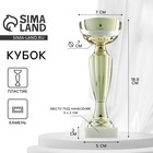 Кубок спортивный 106 Кубок спортивный 106