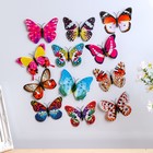 Magnet plastic "Butterfly glow in the dark" 10 cm MIX