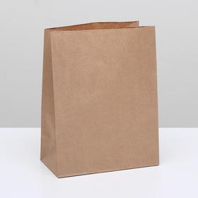 Пакет крафт бумажный фасовочный, прямоугольное дно 22 х 12 х 29 см