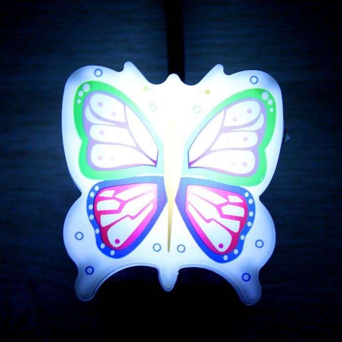 Электронные бабочки купить. Ночник "бабочка". Ночникик в рзетку бабочка. Ночник бабочка в розетку. Ночник в виде бабочки.