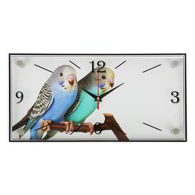 Часы настенные, серия: Животный мир, "Парочка попугаев", 19х39 см в Донецке