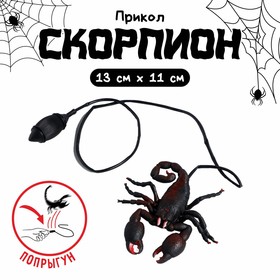 Прикол «Прыгающий скорпион» в Донецке