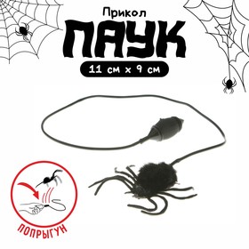 Прикол «Прыгающий паук» в Донецке