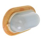 Светильник для бани/сауны ITALMAC Termo 60 20 18, до 100 Вт, IP54, цвет береза, до +130°C - фото 8308557