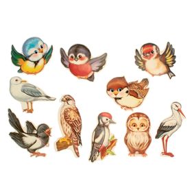 Комплект украшений "Веселые птички" на скотче, 10 видов, 12 х 12 см