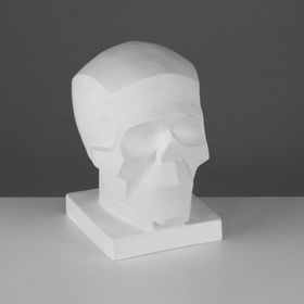 Гипсовая фигура череп обобщённых плоскостей, 16 х 17 х 22 см
