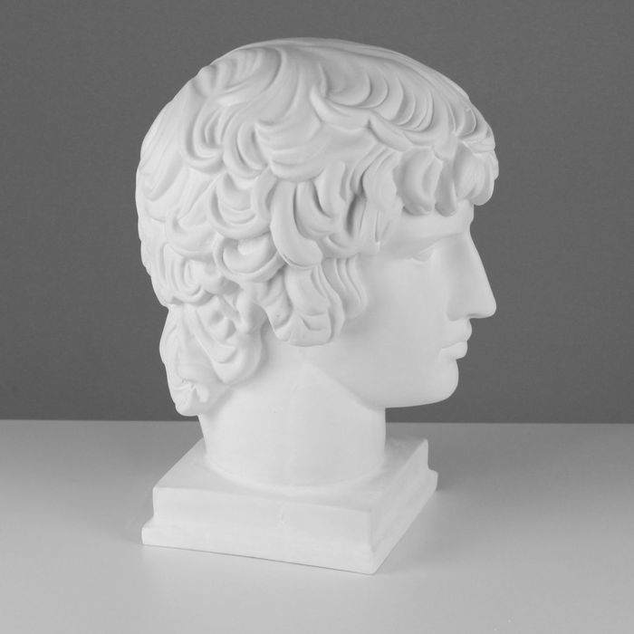 Гипсовая фигура, голова Антиноя «Мастерская Экорше», 25 х 29 х 39 см