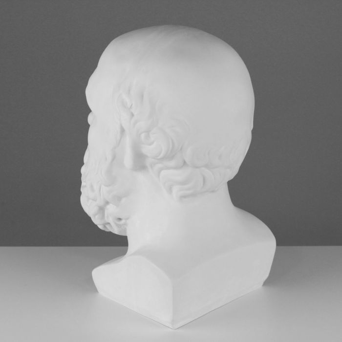 Гипсовая фигура, голова Сократа «Мастерская Экорше», 20 х 20 х 38,5 см