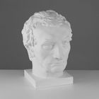 Гипсовая фигура, голова Гаттамелаты, 26 х 33 х 40 см Гипсовая фигура, голова Гаттамелаты, 26 х 33 х 40 см