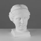 Гипсовая фигура, голова Венеры Милосской «Мастерская Экорше», 22 х 32 х 35 см