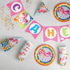 Набор бумажной посуды «Красавица пони», 6 тарелок, 6 стаканов, 6 колпаков, 1 гирлянда в наличии - фото 107379558