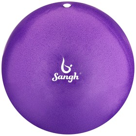 {{photo.Alt || photo.Description || 'Мяч для йоги, 25 см, 100 г, цвет фиолетовый'}}
