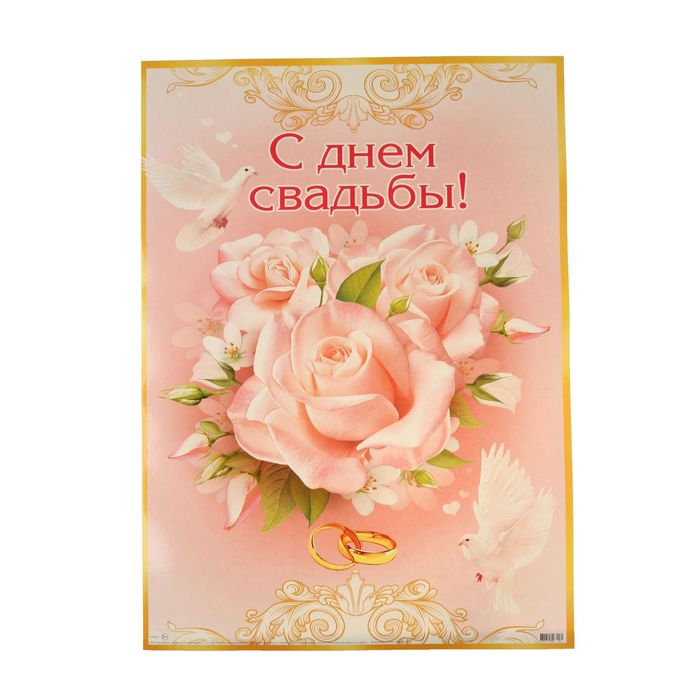 Плакаты мир открыток, днем