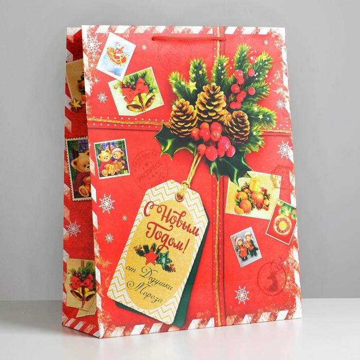 Пакет ламинированный вертикальный «Подарок от Деда Мороза», 31 × 40 × 9 см