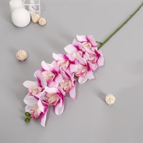 Цветы искусственные "Орхидея амабилис" 90 см, бело-сиреневая