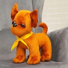 Мягкая игрушка «Собачка Чи-Хуа-Хуа», 35 см - фото 4336471