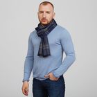 Шарф мужской "Этель" Селби 30 х 170 см, 80% х/б, 20% акрил Шарф мужской "Этель" Селби 30 х 170 см, 80% х/б, 20% акрил