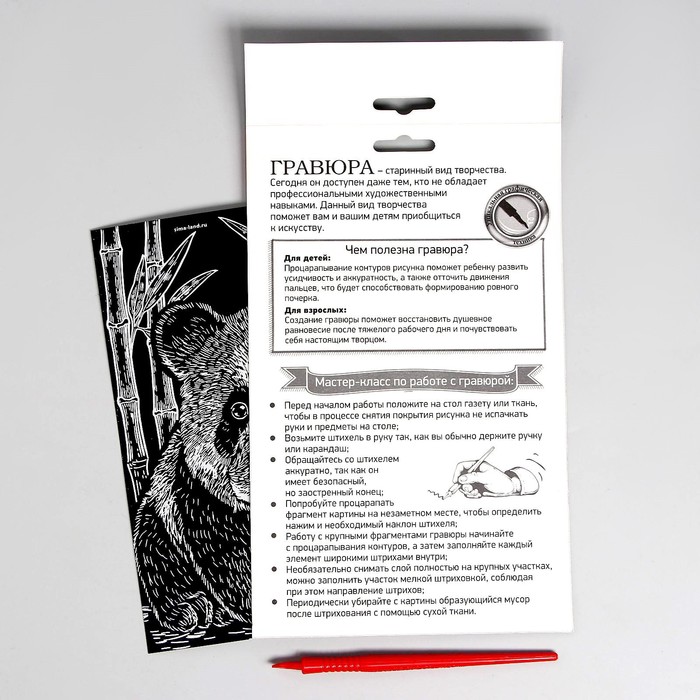 Гравюра «Панда» с металлическим эффектом «серебро» А5 - фото 797835309