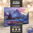 Алмазная вышивка с частичным заполнением "Зима" 30*40 см, холст, емкость