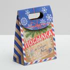 Пакет подарочный «Посылка от Деда Мороза», 12 × 16 × 6 см Пакет подарочный «Посылка от Деда Мороза», 12 × 16 × 6 см