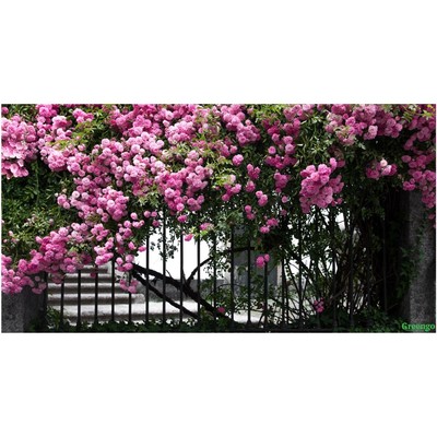 Фотосетка, 250 × 158 см, с фотопечатью, «Терраса»