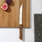 Нож кухонный универсальный Universal, лезвие 15 см, сталь AISI 420, деревянная рукоять - фото 285569