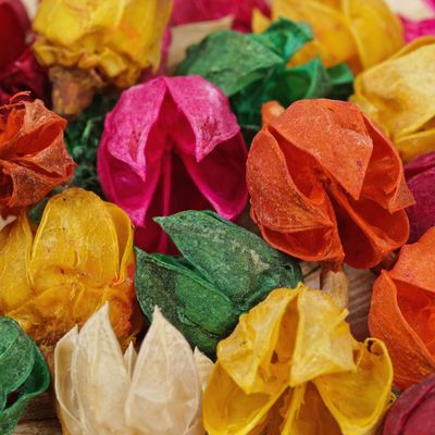 Сухие цветы 