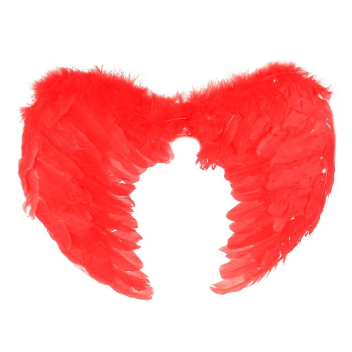 Крылья ангела, 55×40, цвет красный