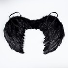 Angel wings, black