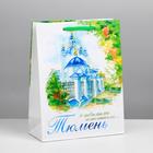 Package vertical MS "Tyumen", 18 x 23 x 8 cm Package vertical MS "Tyumen", 18 x 23 x 8 cm