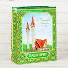Пакет вертикальный МС «Башкирия» Пакет вертикальный МС «Башкирия»