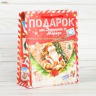 Пакет ламинированный с открыткой «Письмо от дедушки мороза», 18 × 23 × 8 см