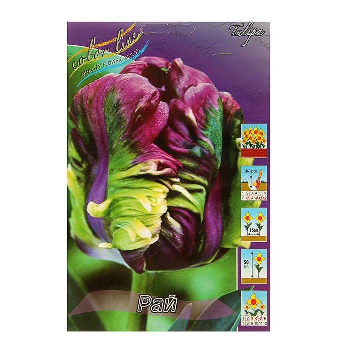 С рр р ррр. Ррр картинка. Радужный мост джим уоррен. Красивая цыганка танцует. «тигрёнок, который говорил „р-р-р“, и его друзья» (1979).