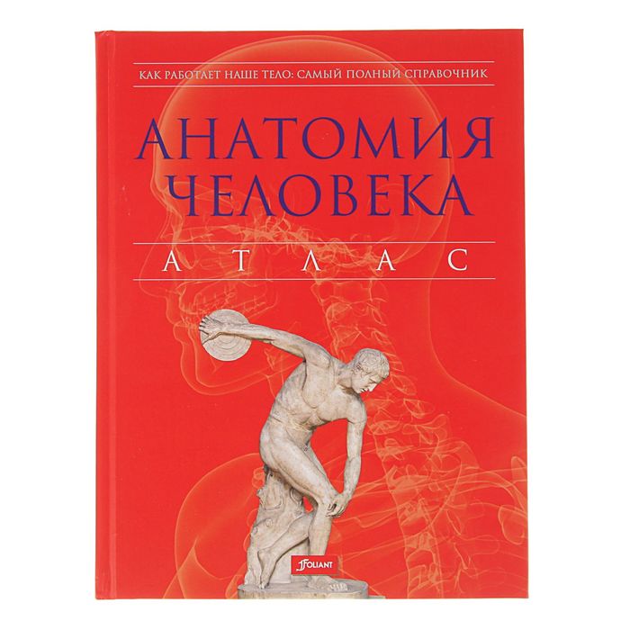 Купить Книгу Лицо Атлас Клинической Анатомии