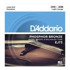 Струны для мандолины D'Addario EJ73  фосф.бронза, Light, 10-38 2503653 - фото 7164040