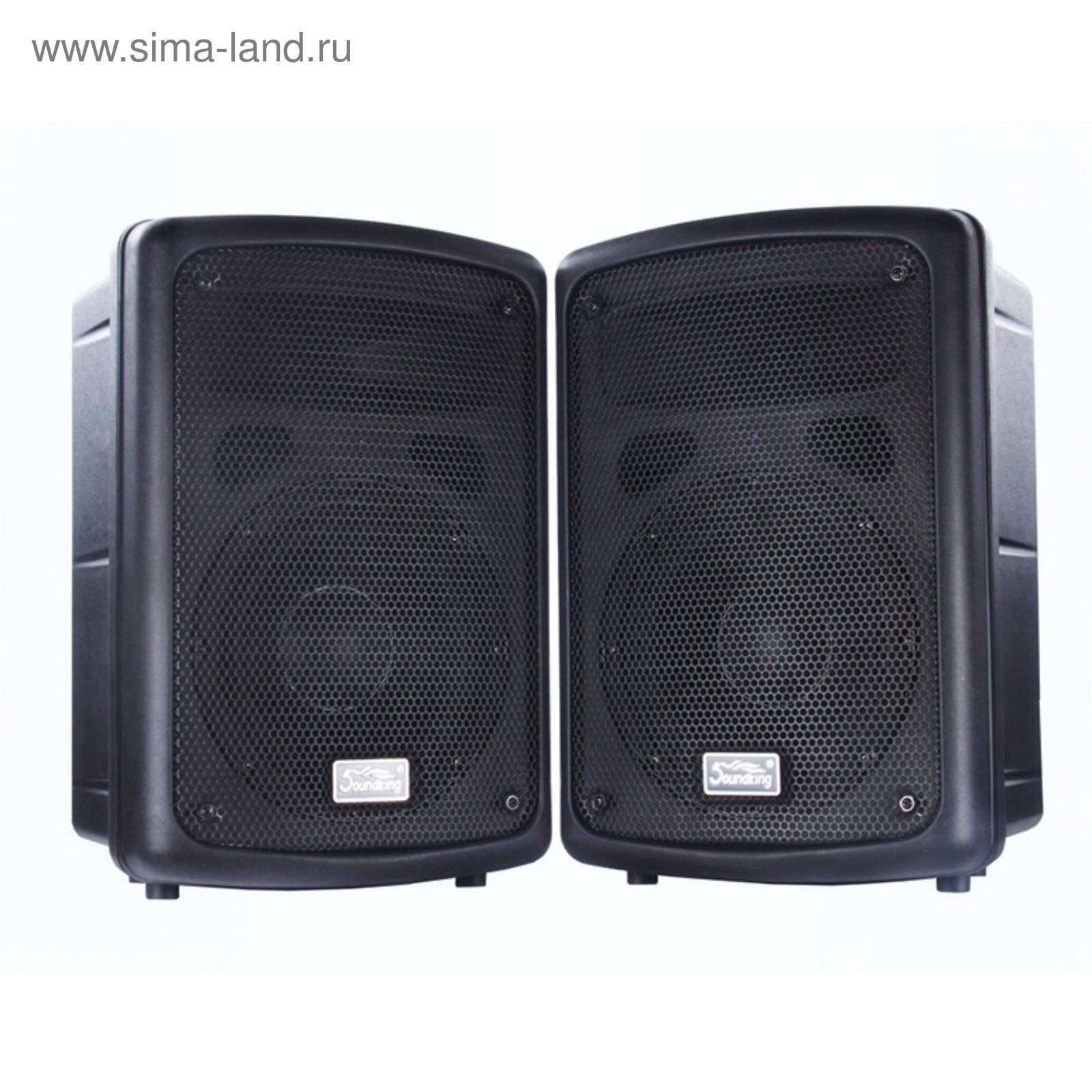 Акустическая система Soundking FP208-1A Активная , 100Вт (2372071 ...