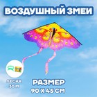 Воздушный змей «Бабочка с усиками», с леской 30 метров Воздушный змей «Бабочка с усиками», с леской 30 метров