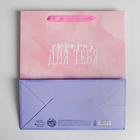 Пакет ламинированный вертикальный «Сюрприз для тебя», ML 23 × 27 × 11,5 см 2172278