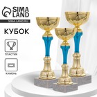 Кубок спортивный 132A Кубок спортивный 132A