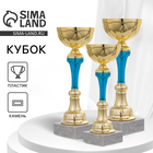 Кубок спортивный 132C Кубок спортивный 132C