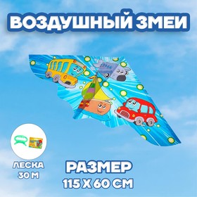 Воздушный змей «Авто», с леской в Донецке