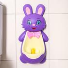 Potty-urinal suckers "Bunny", MIX colors