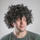 Карнавальный парик «Кудряшки», обхват головы 56 см, цвет чёрный Карнавальный парик «Кудряшки», обхват головы 56 см, цвет чёрный