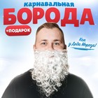 Карнавальный костюм взрослый "Дед Мороз-волшебник" колпак бород + галстук