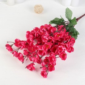 Bouquet "Young Sakura" 50 cm, mix